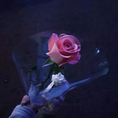 你好呀勇士手游破解版下载
